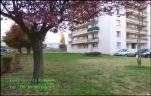 Achat - Vente -  appartement